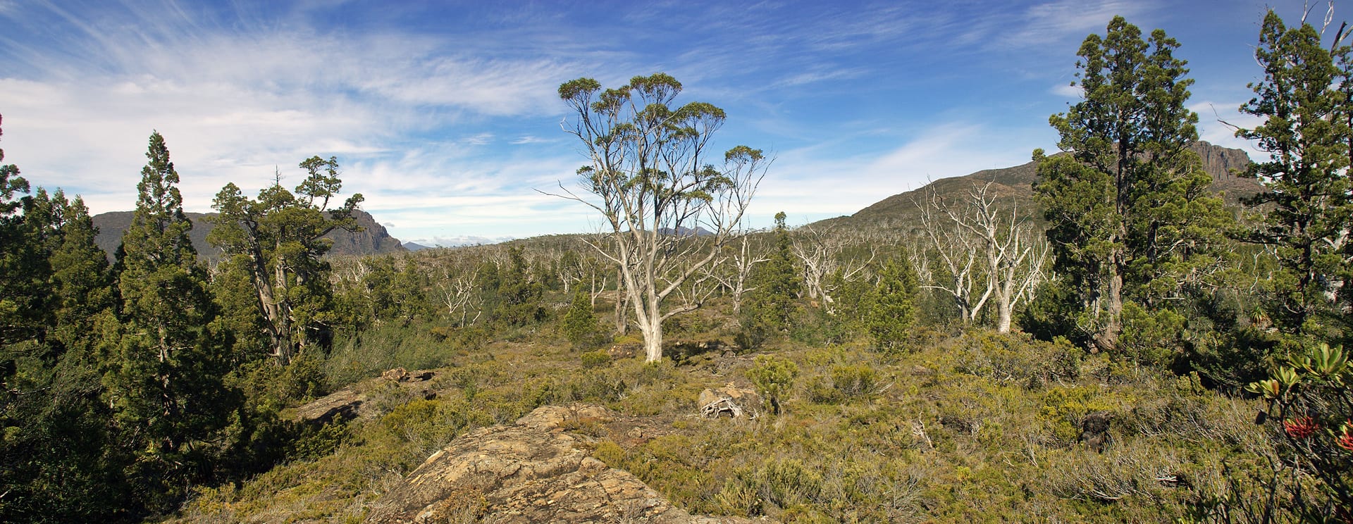 Australia — Overland Track — landscape