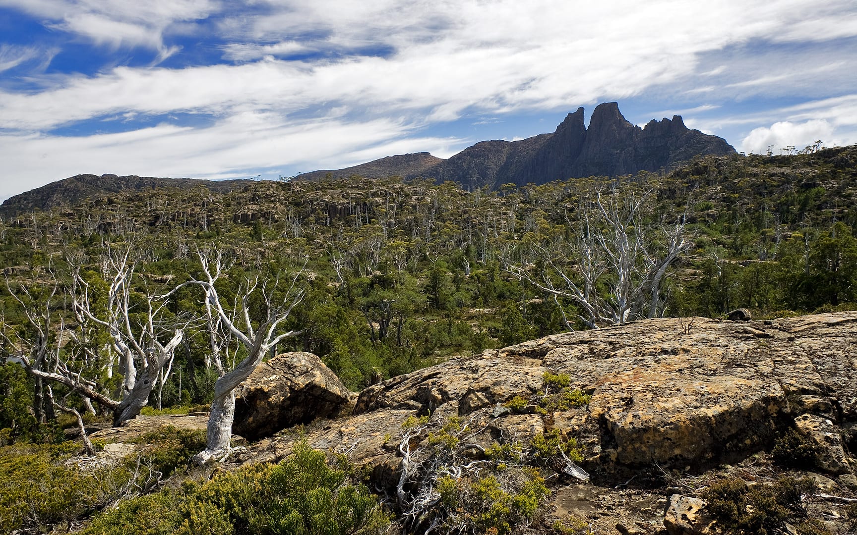Australia — Overland Track — landscape