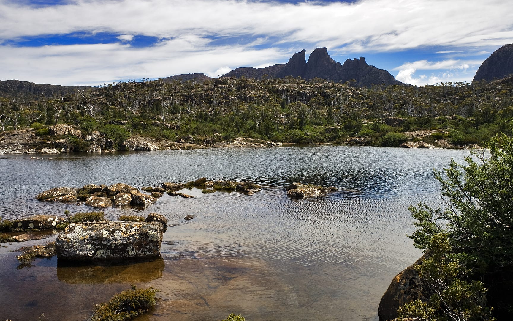 Australia — Overland Track — landscape