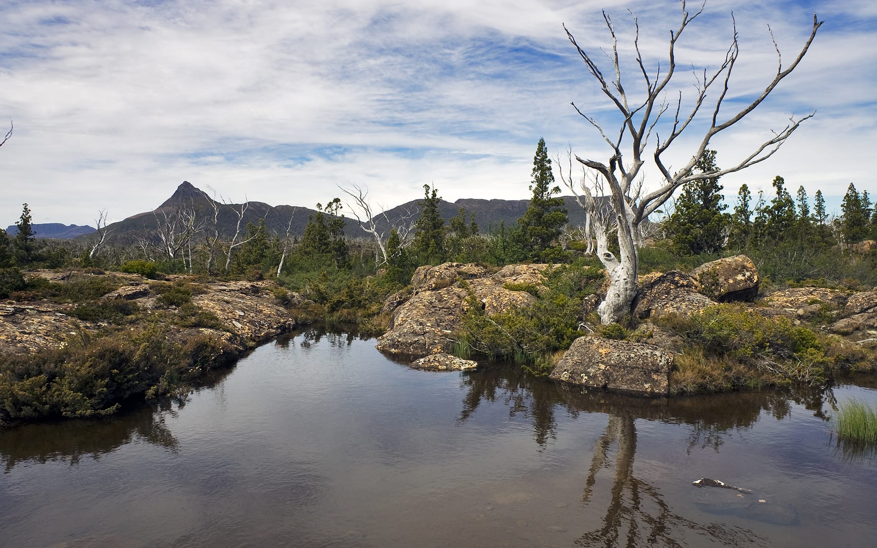 Australia — Overland Track — landscape