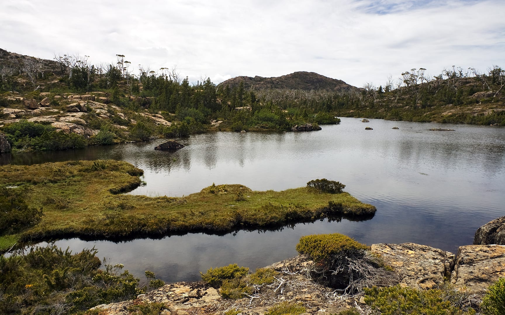 Australia — Overland Track — landscape