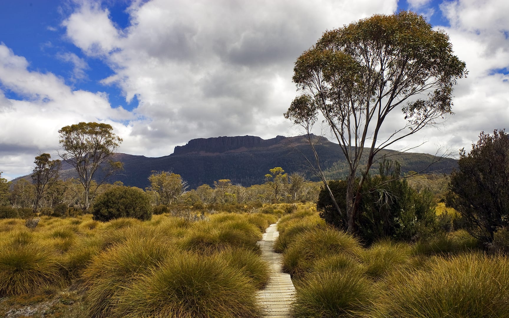 Australia — Overland Track — landscape