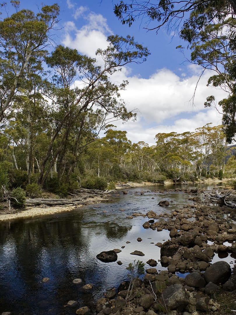 Australia — Overland Track — landscape