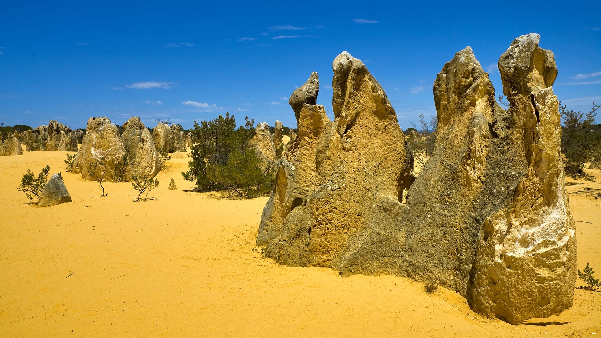 Australia — Pinnacles — landscape