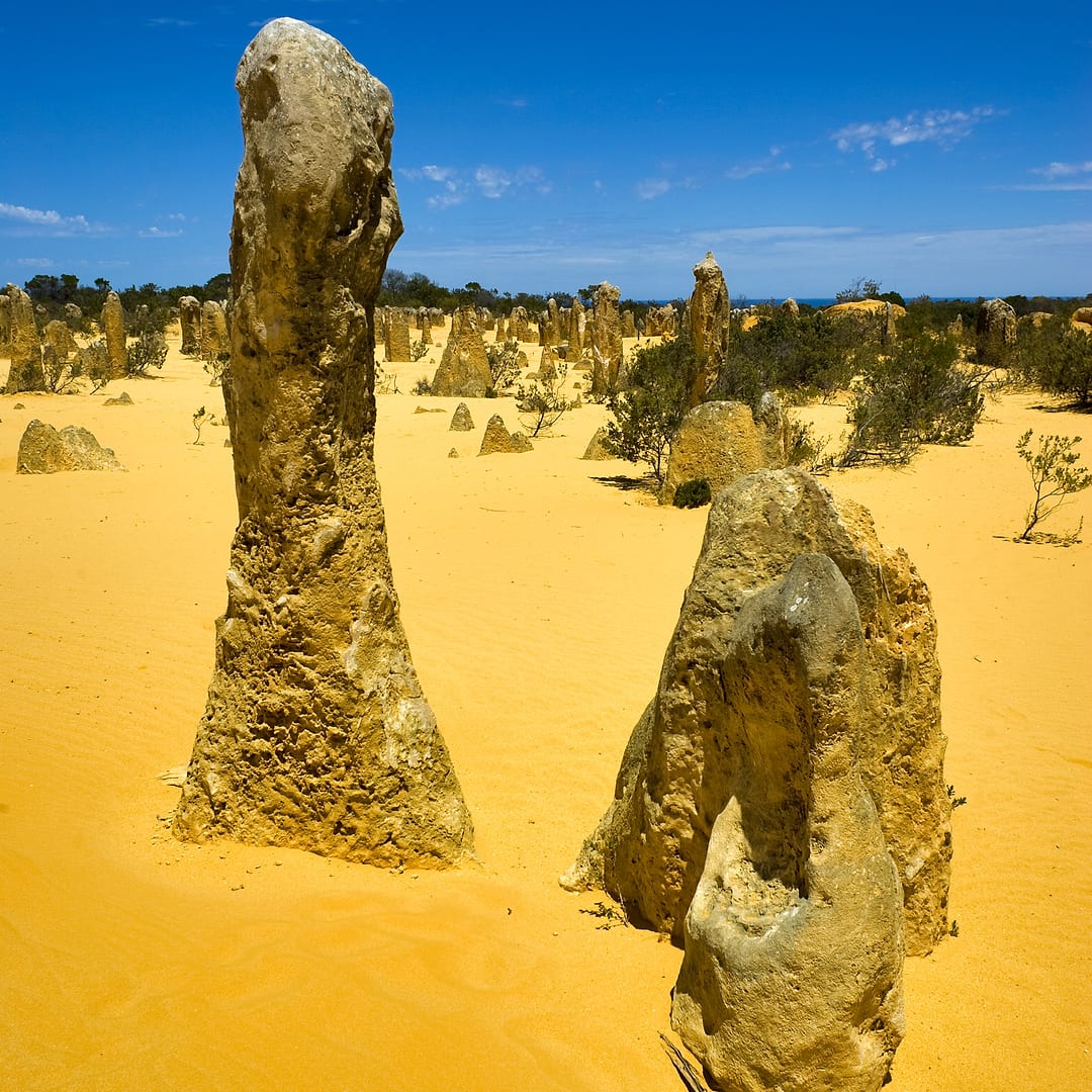 Australia — Pinnacles — landscape