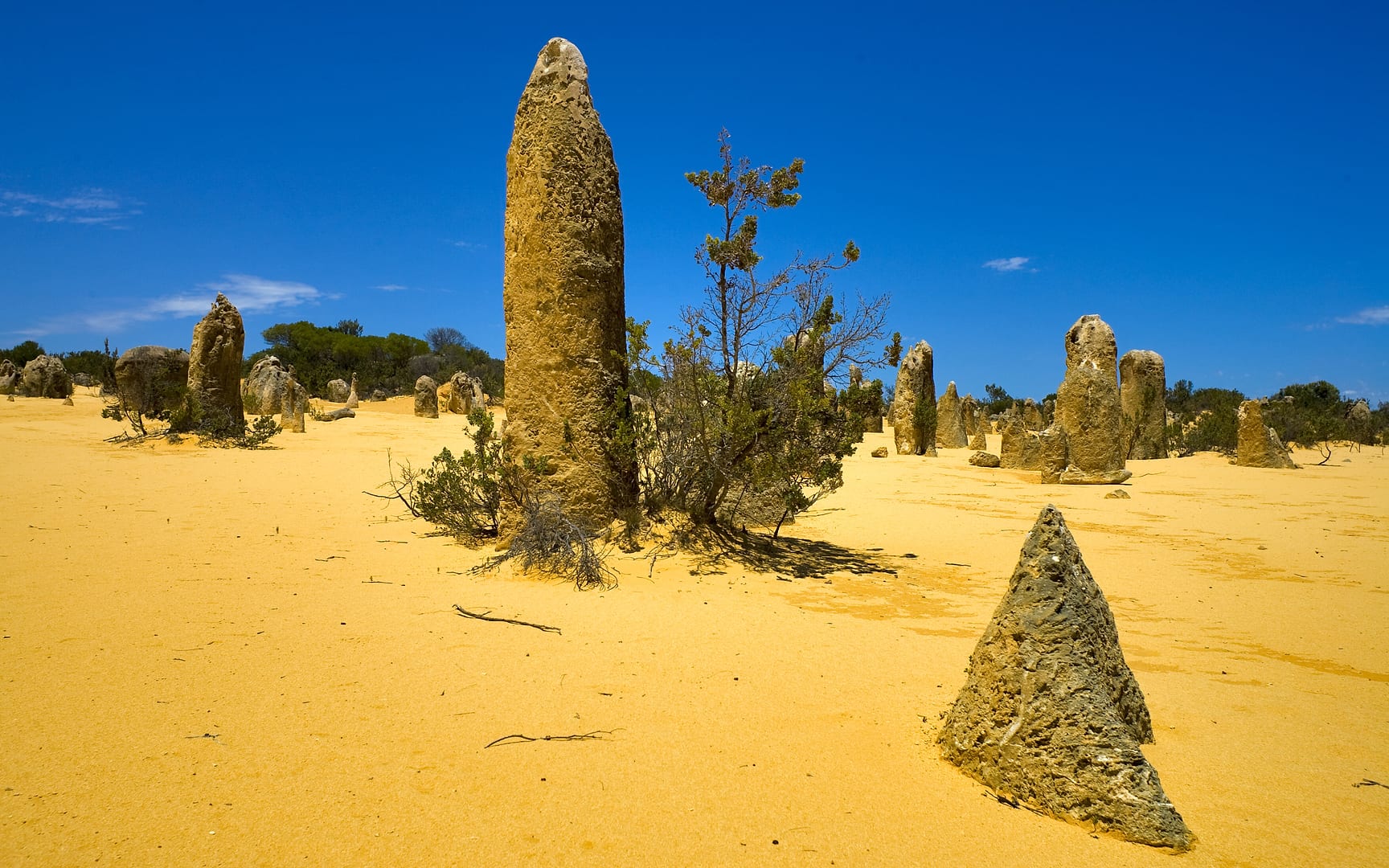 Australia — Nambung — landscape