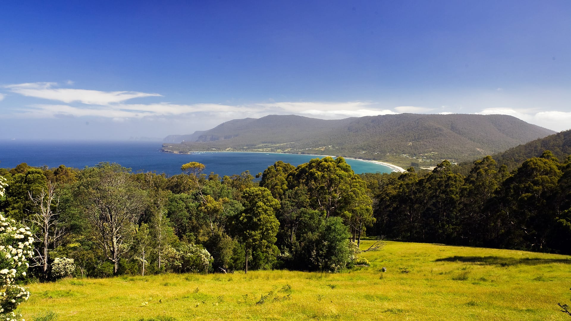Australia — Pirates Bay — landscape