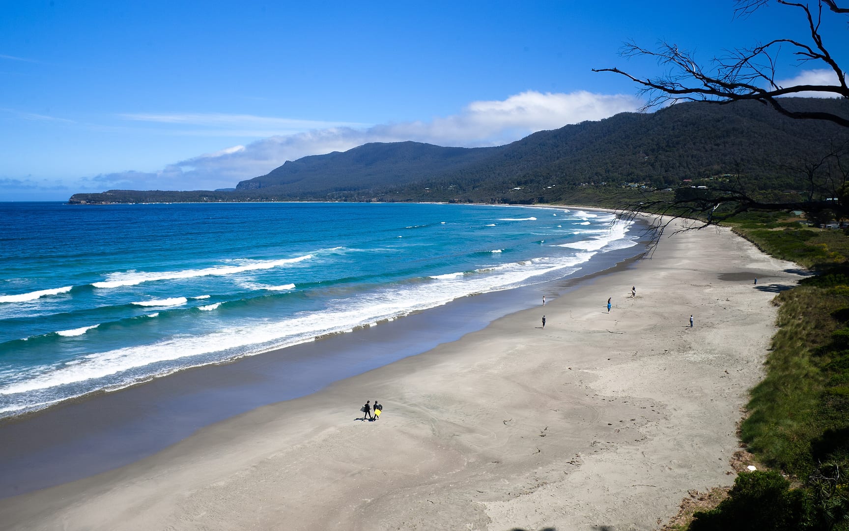 Australia — Pirates Bay — landscape