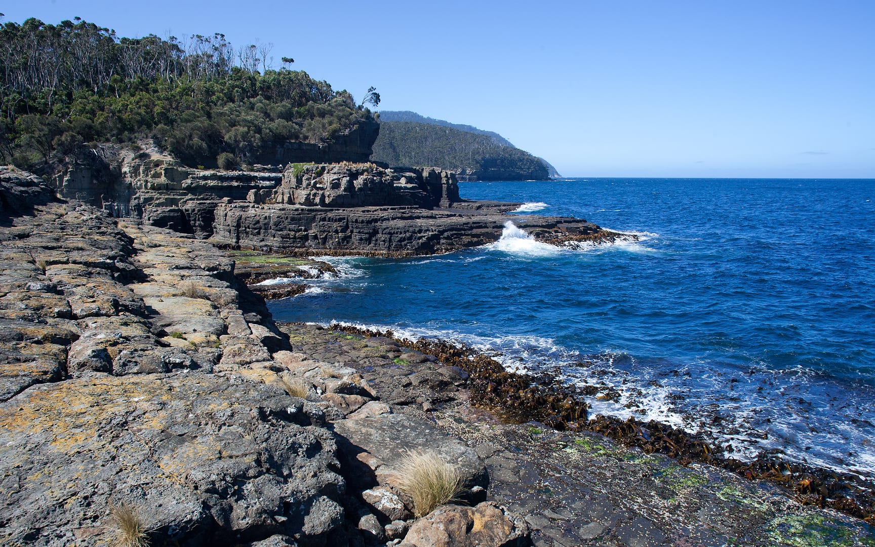 Australia — Pirates Bay — landscape