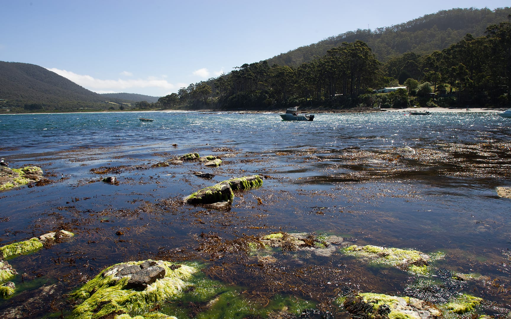Australia — Pirates Bay — landscape