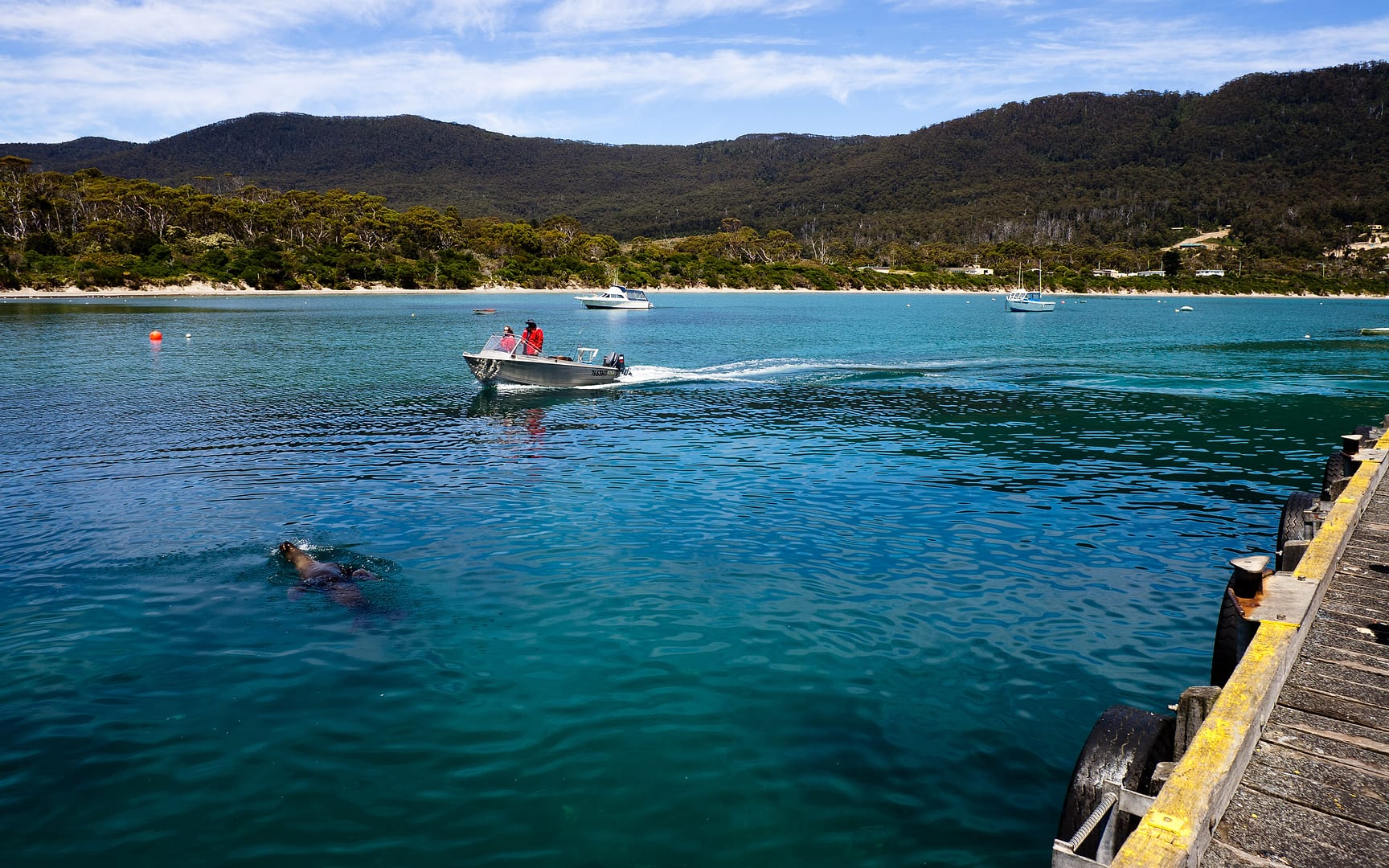 Australia — Pirates Bay — landscape