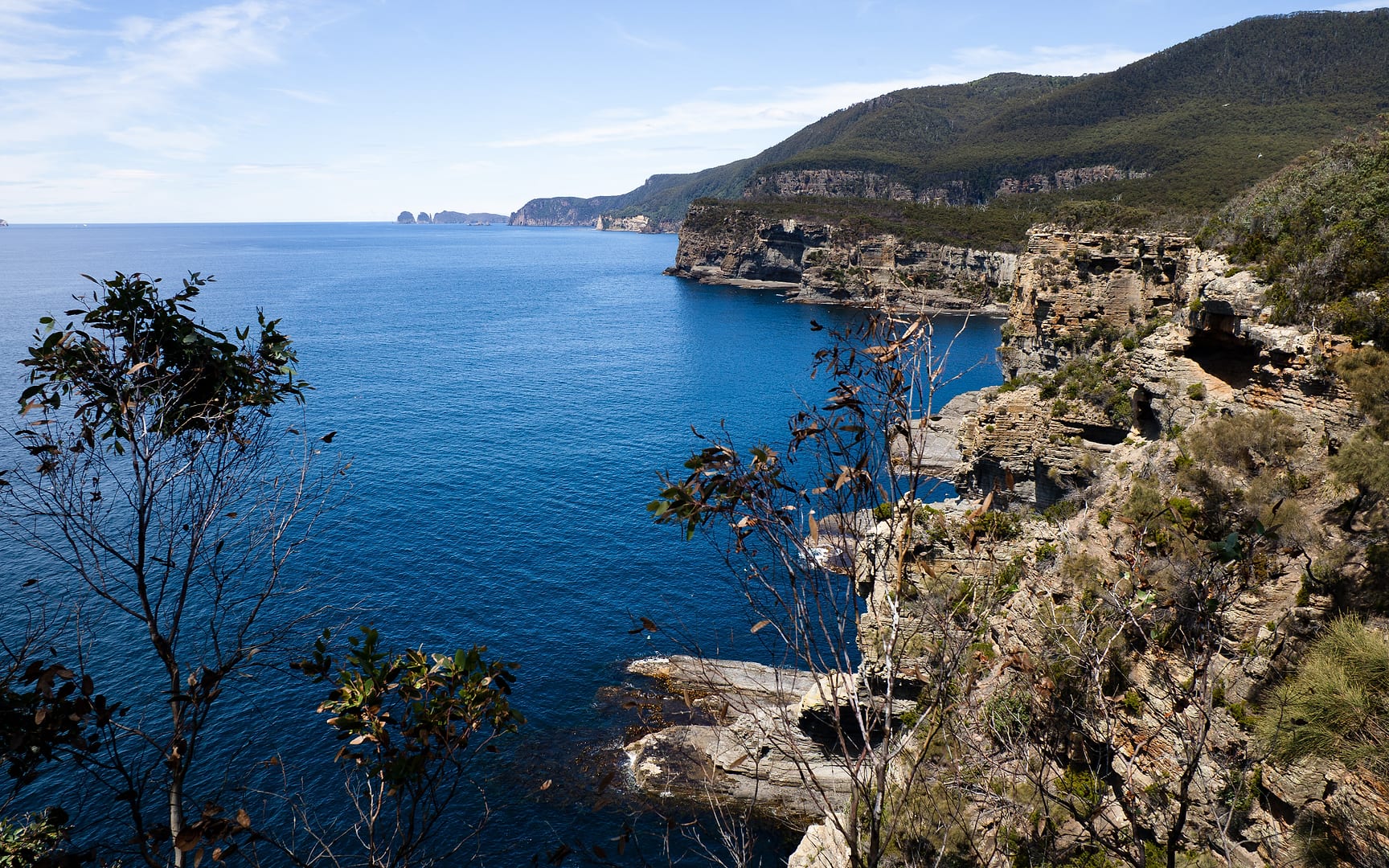 Australia — Coastal Track — landscape
