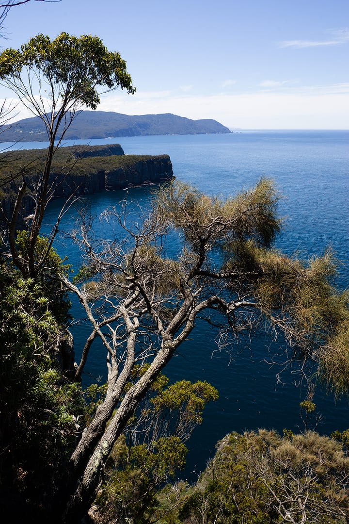 Australia — Coastal Track — landscape