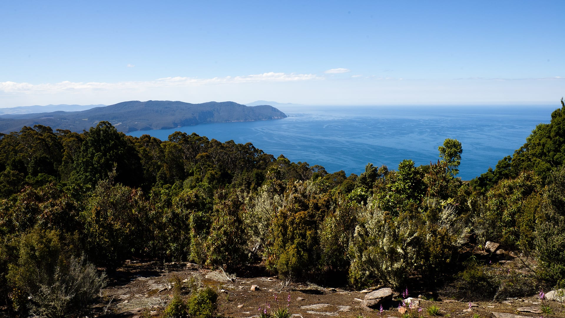 Australia — Coastal Track — landscape