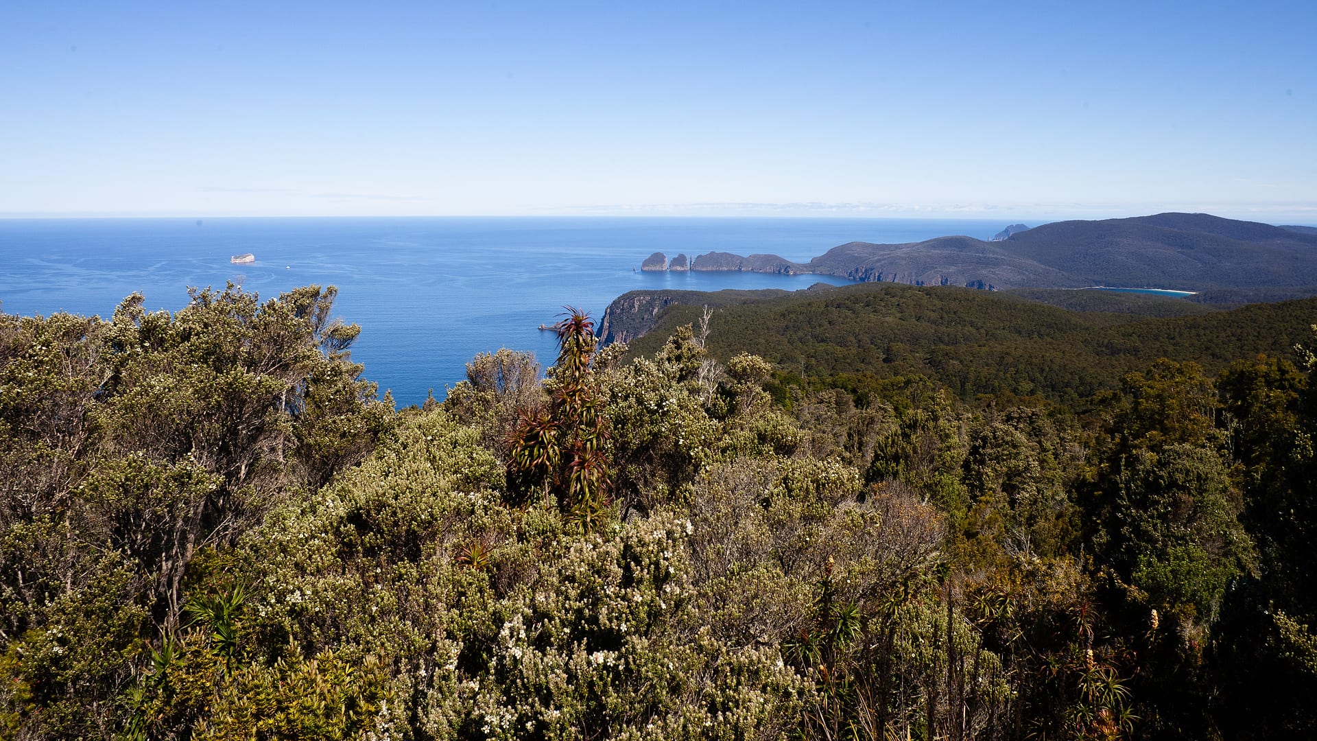 Australia — Coastal Track — landscape