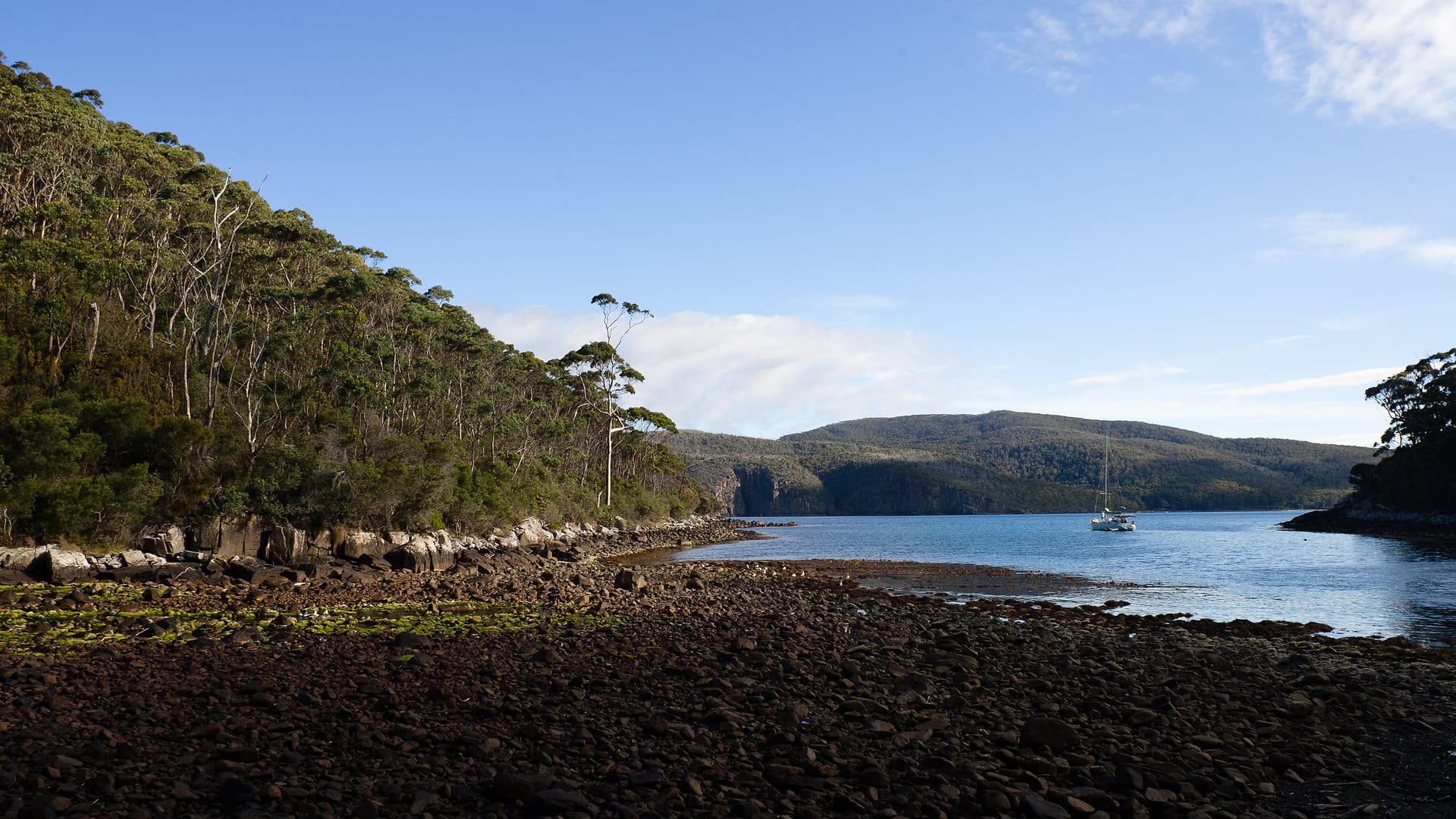 Australia — Coastal Track — landscape
