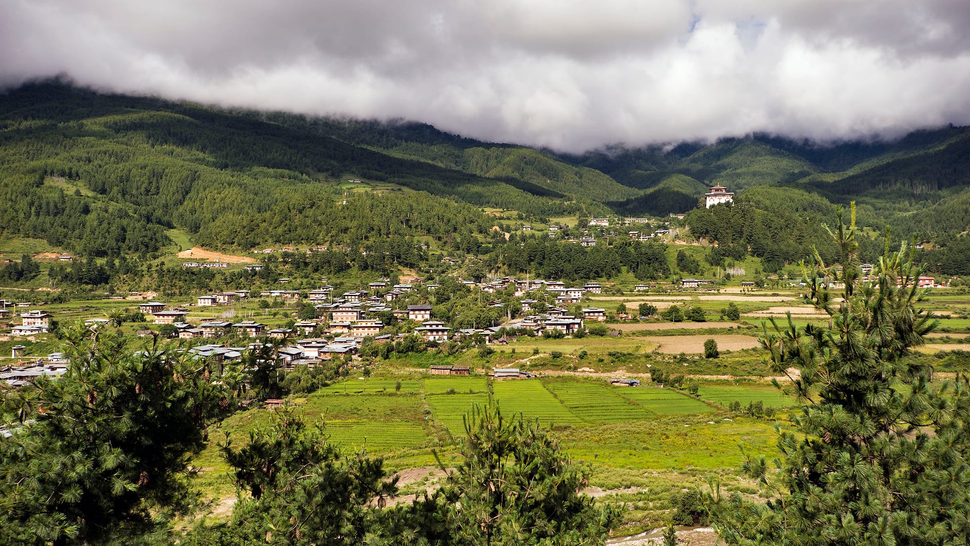 Bhutan — Bumthang — landscape