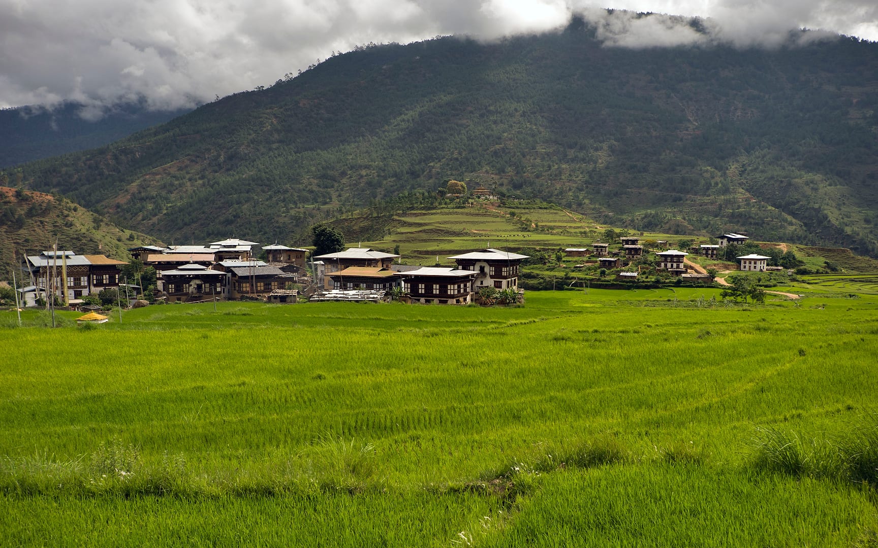 Bhutan — Punakha — landscape