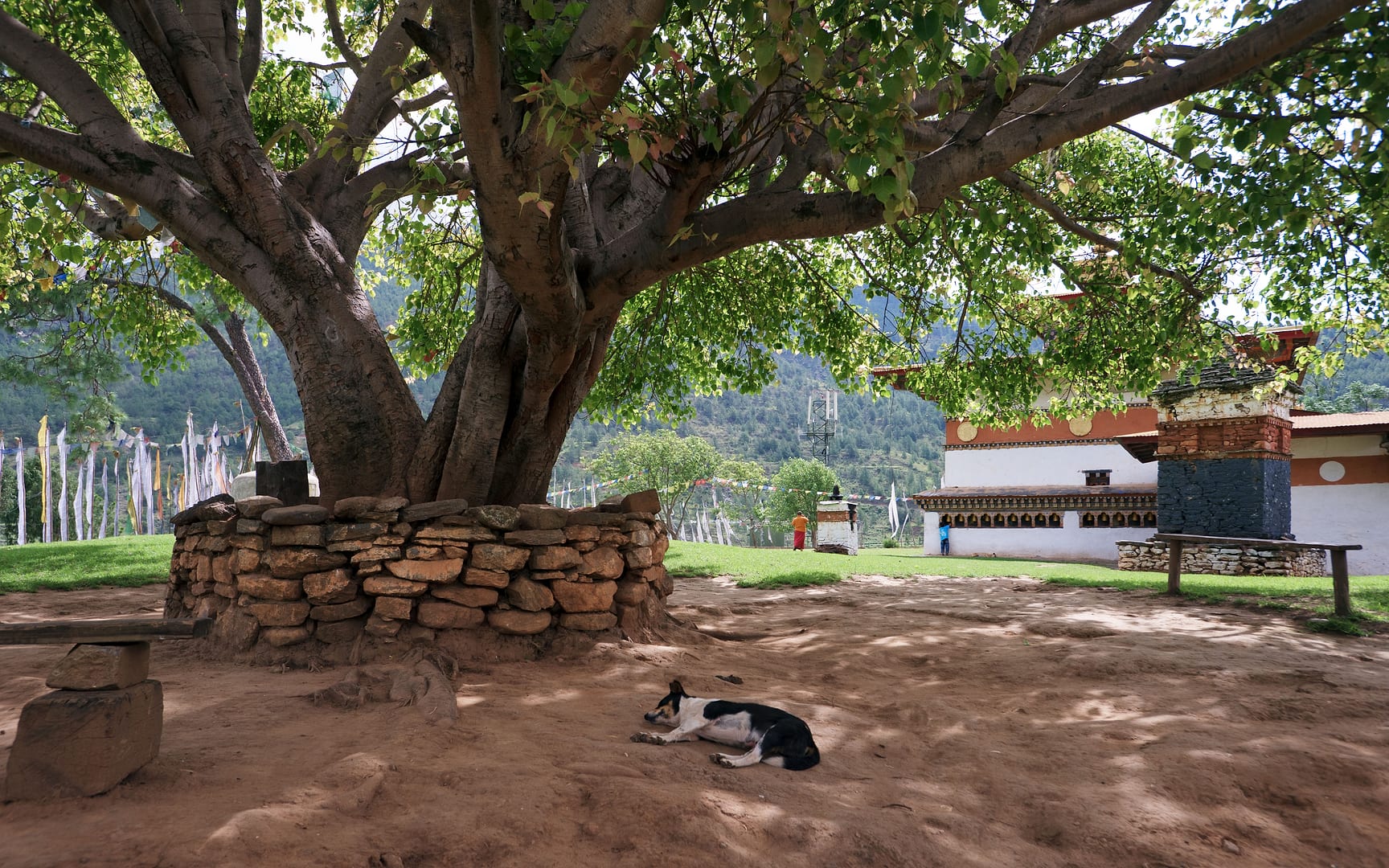 Bhutan — Punakha — architecture