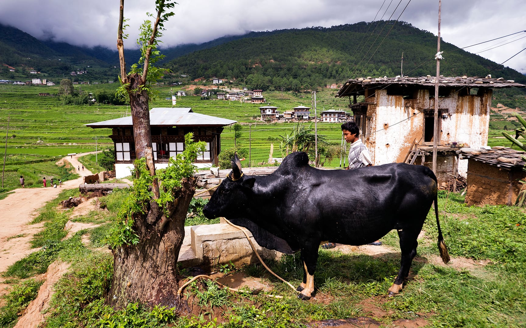 Bhutan — Punakha — landscape