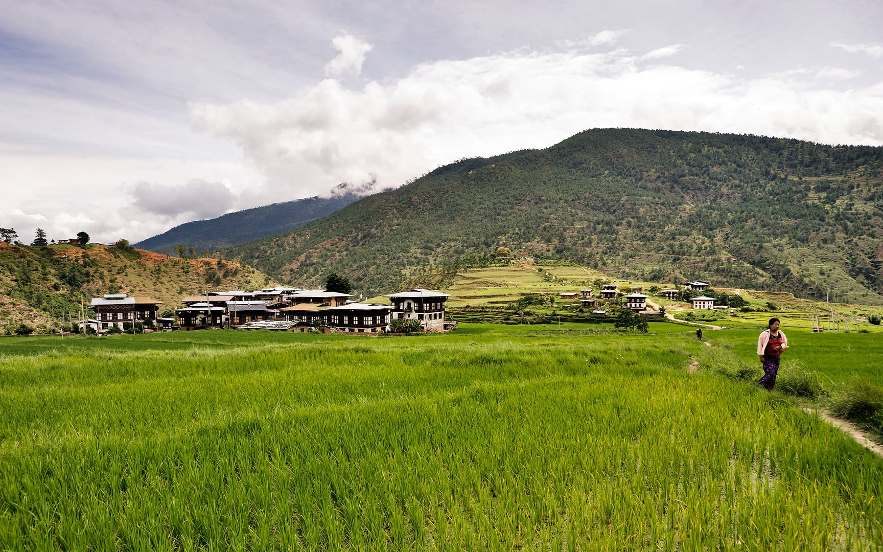 Bhutan — Punakha — landscape