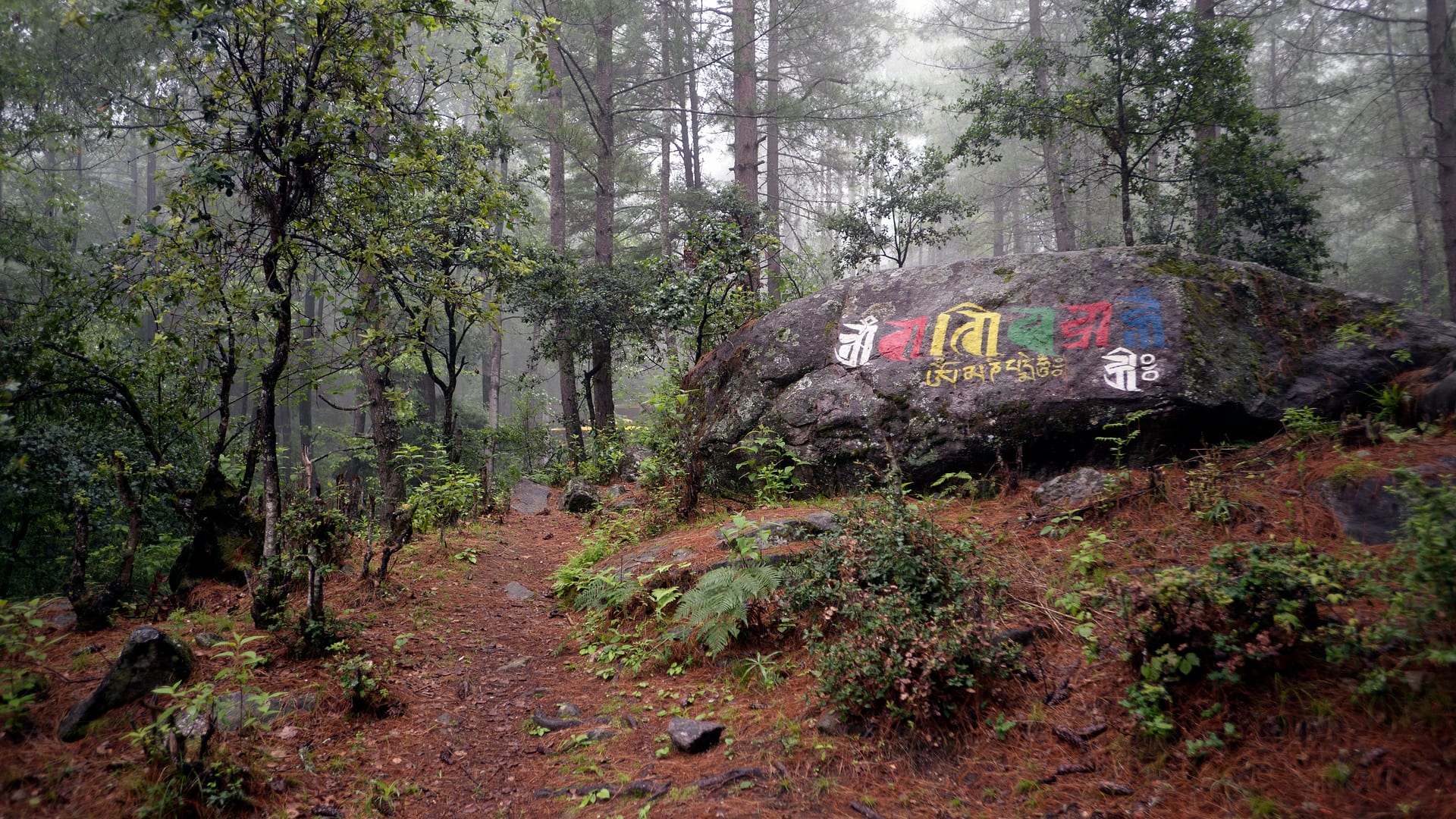 Bhutan — Paro — landscape