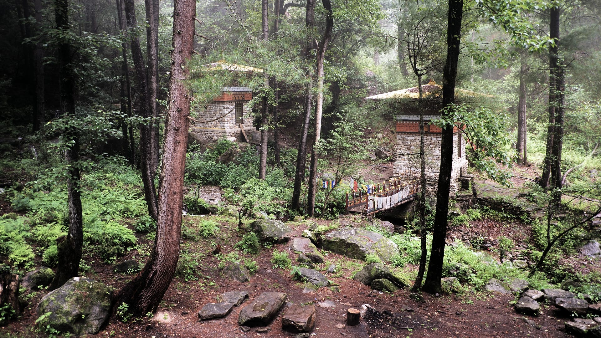 Bhutan — Paro — landscape