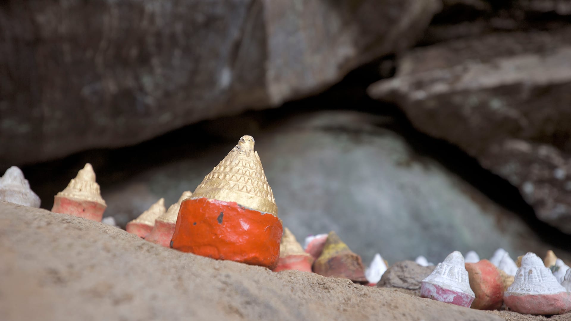 Bhutan — Paro — macro