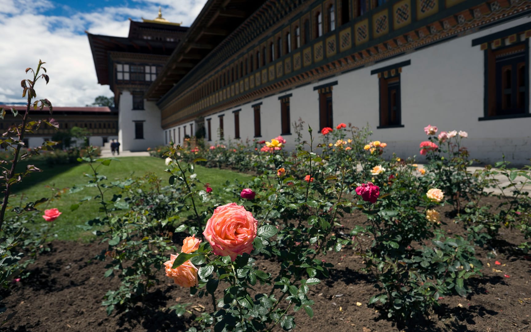 Bhutan — Thimphu — landscape