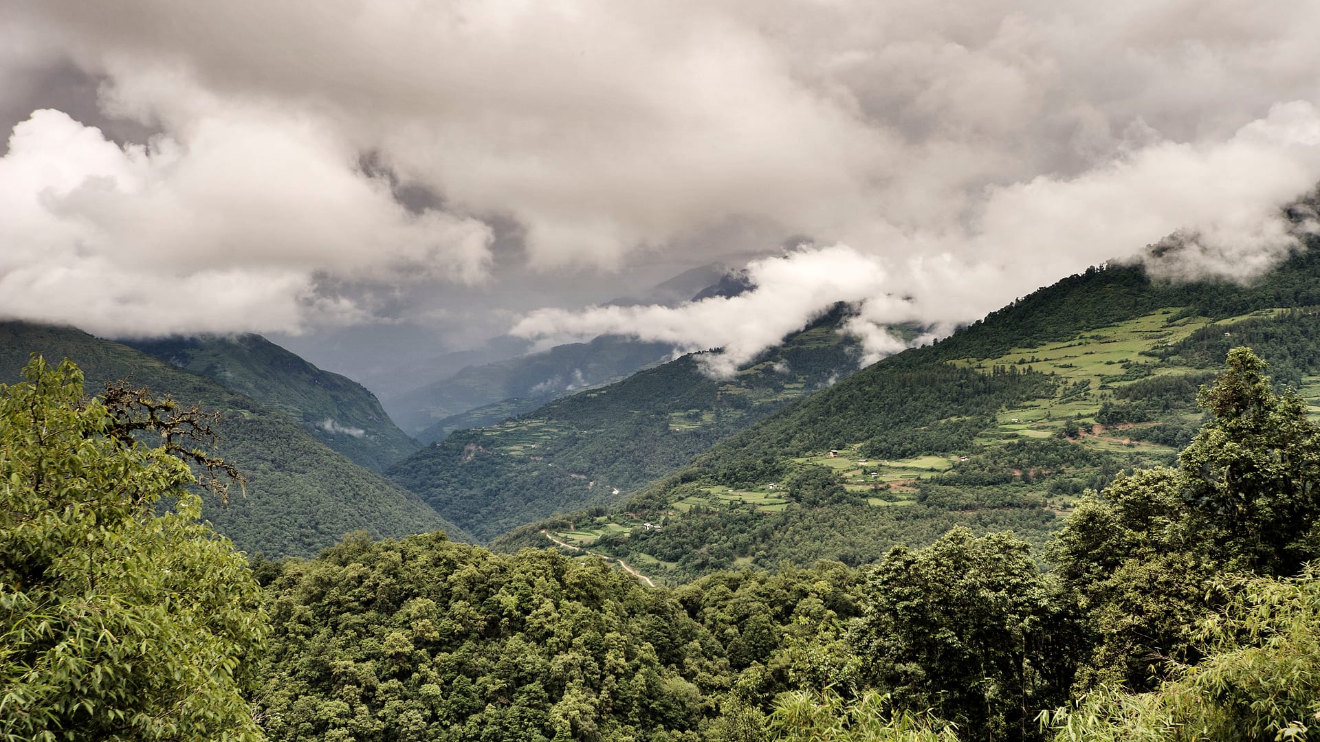 Bhutan — Highlands — landscape