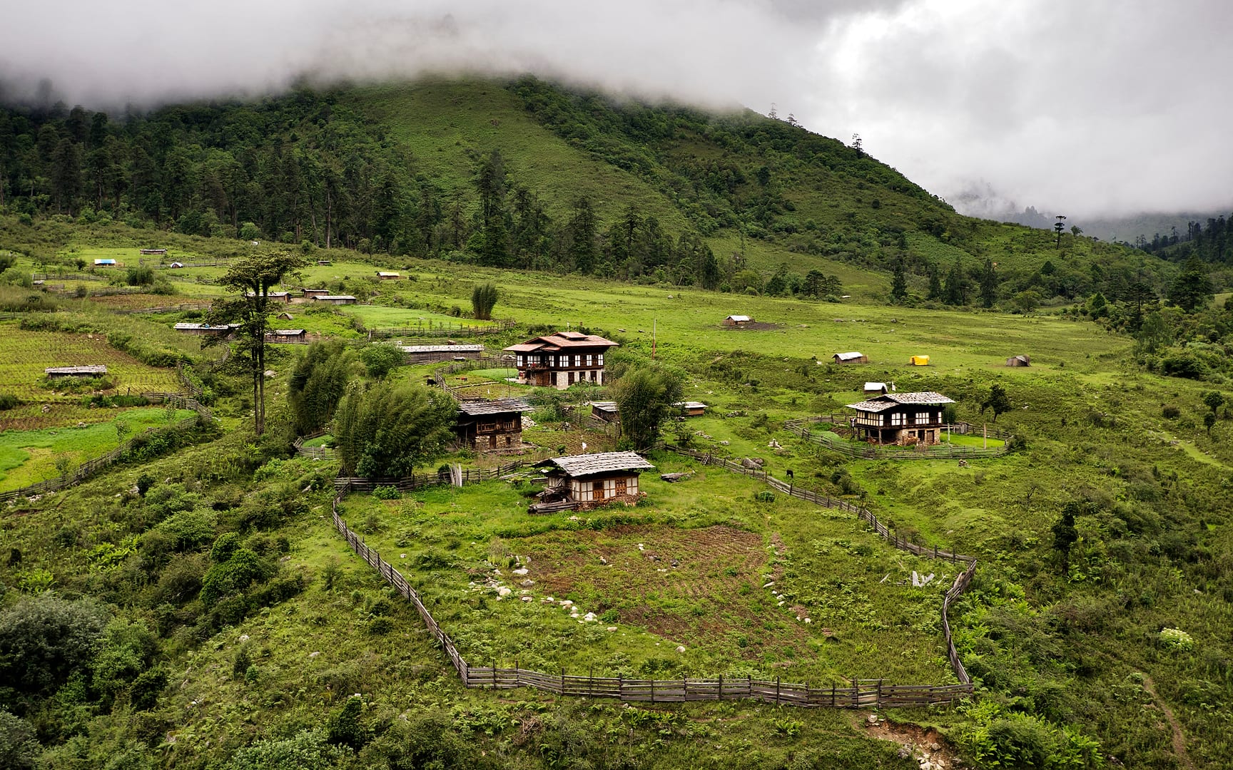 Bhutan — Highlands — landscape