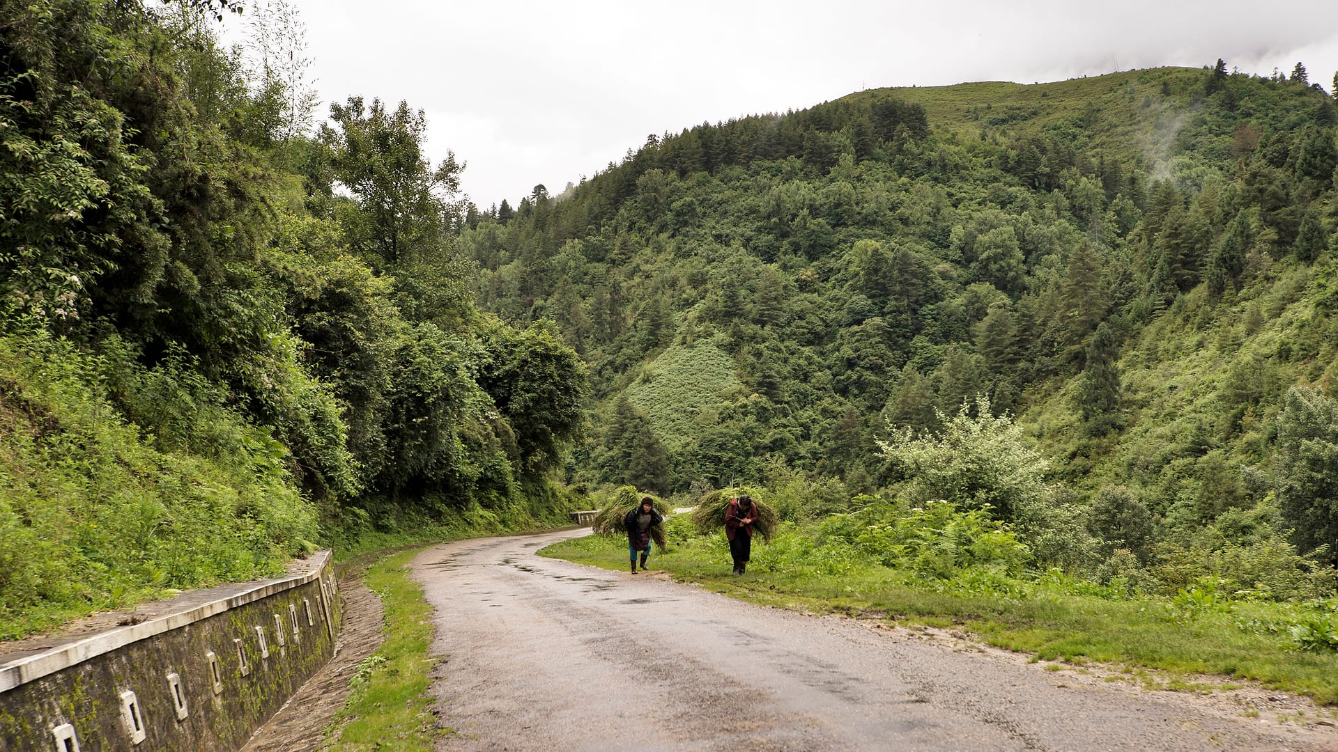 Bhutan — Bumthang — landscape