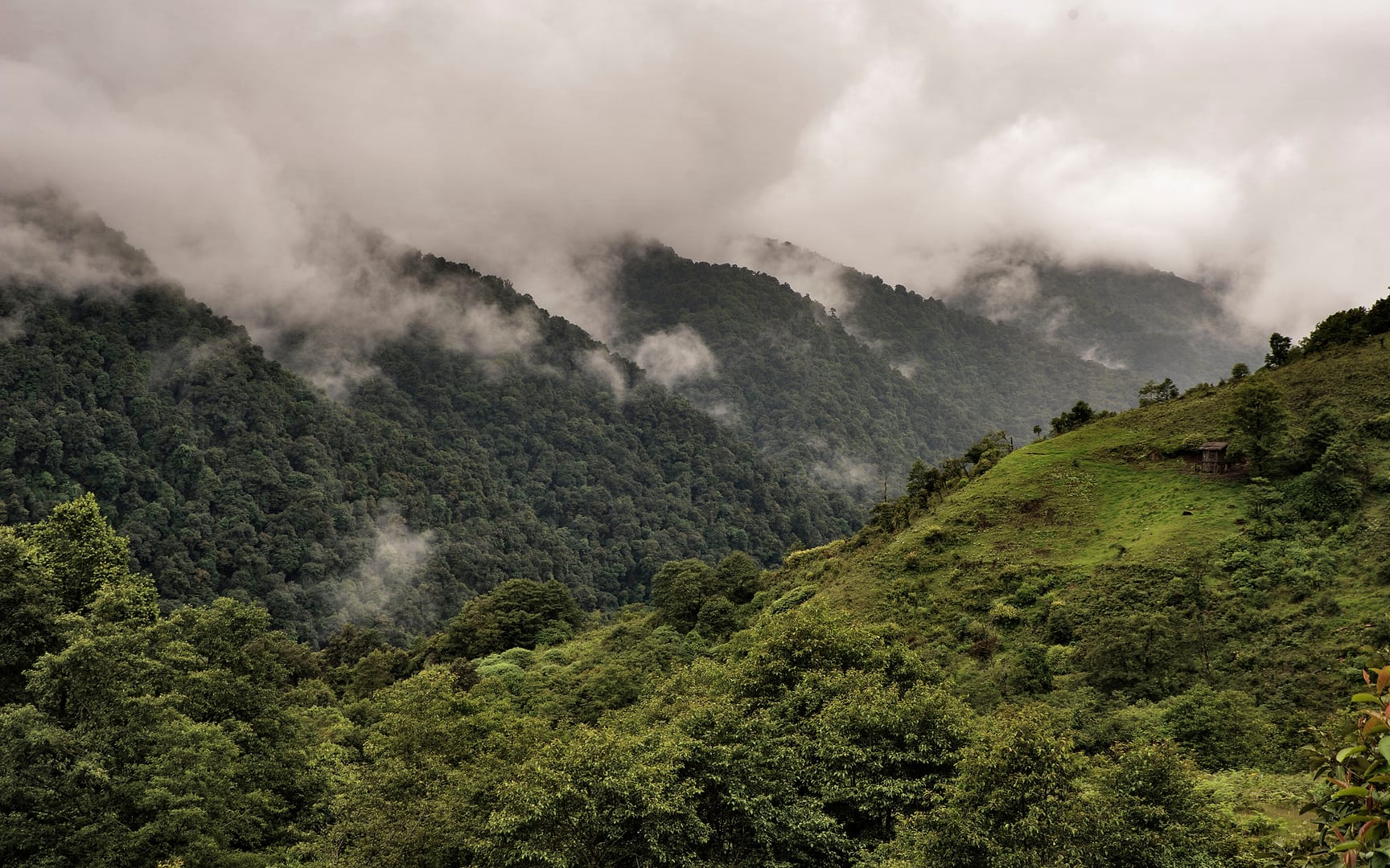 Bhutan — Highlands — landscape