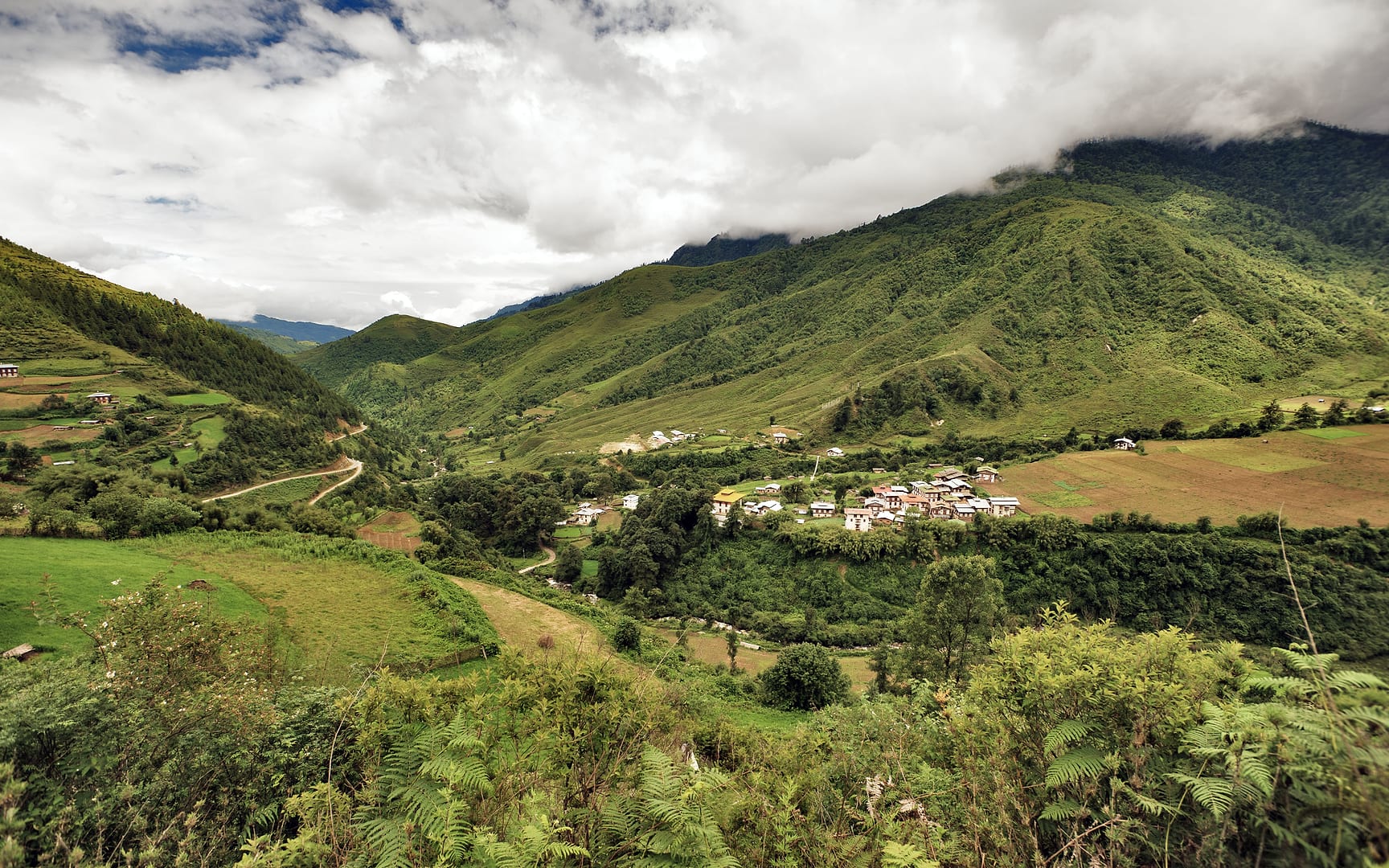 Bhutan — Highlands — landscape