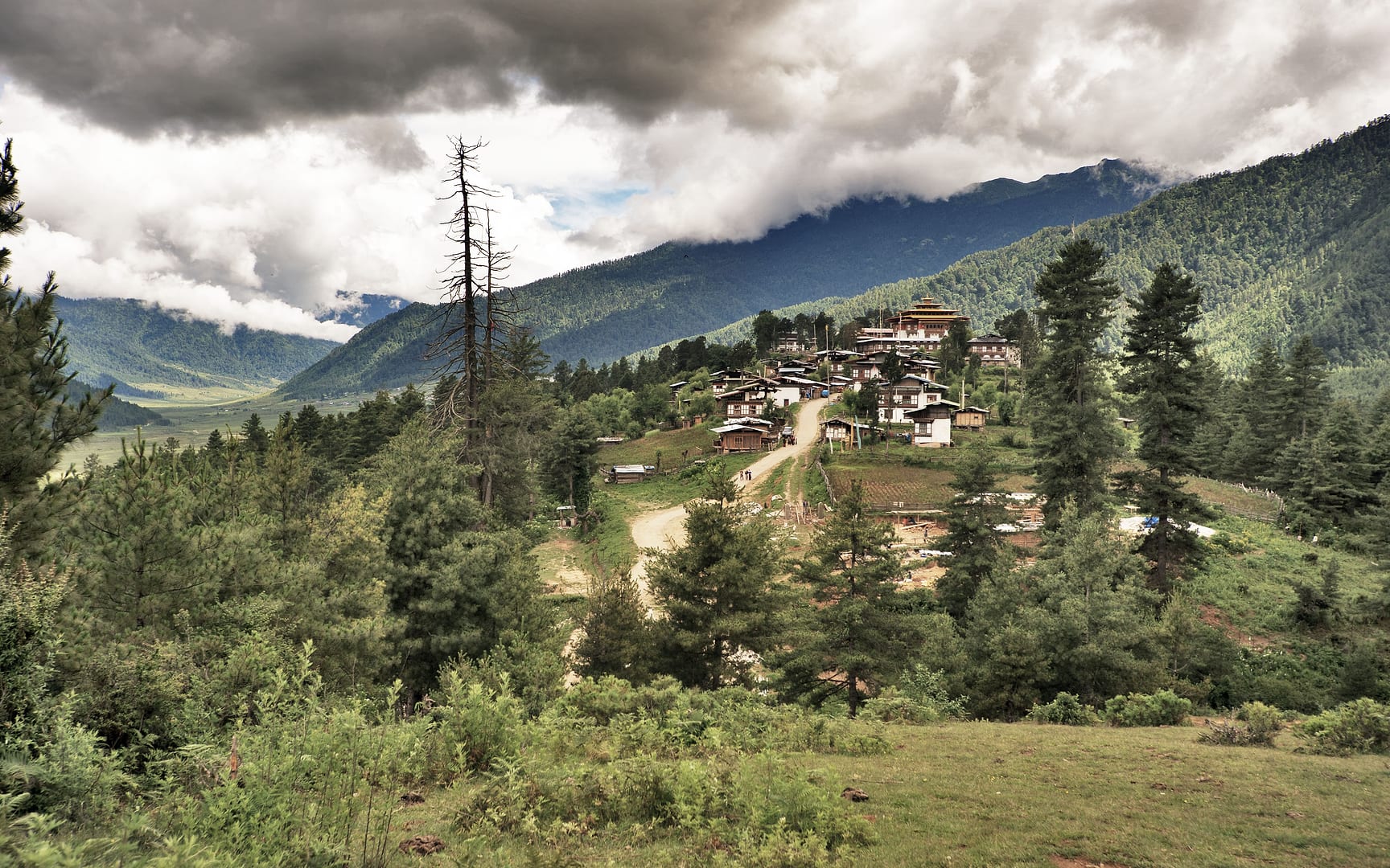 Bhutan — Phobjikha Valley — landscape