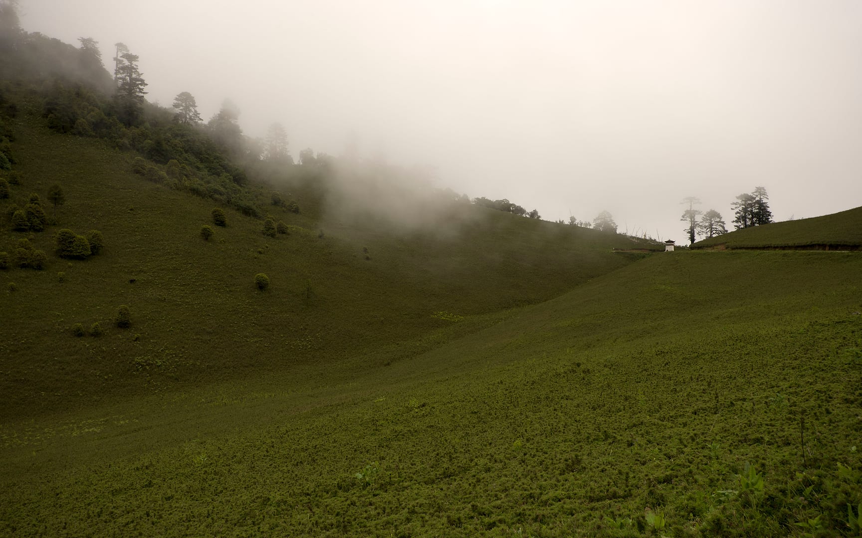 Bhutan — Bhutan — landscape