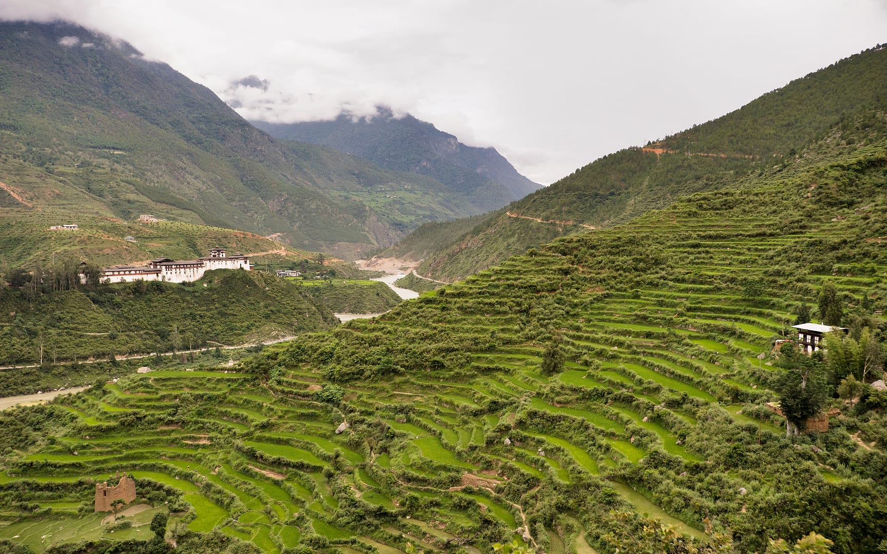 Bhutan — Punakha — landscape