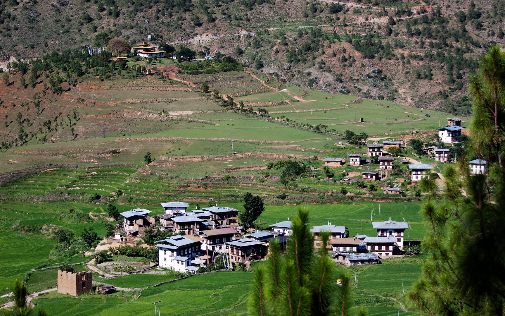 Bhutan — Punakha — landscape