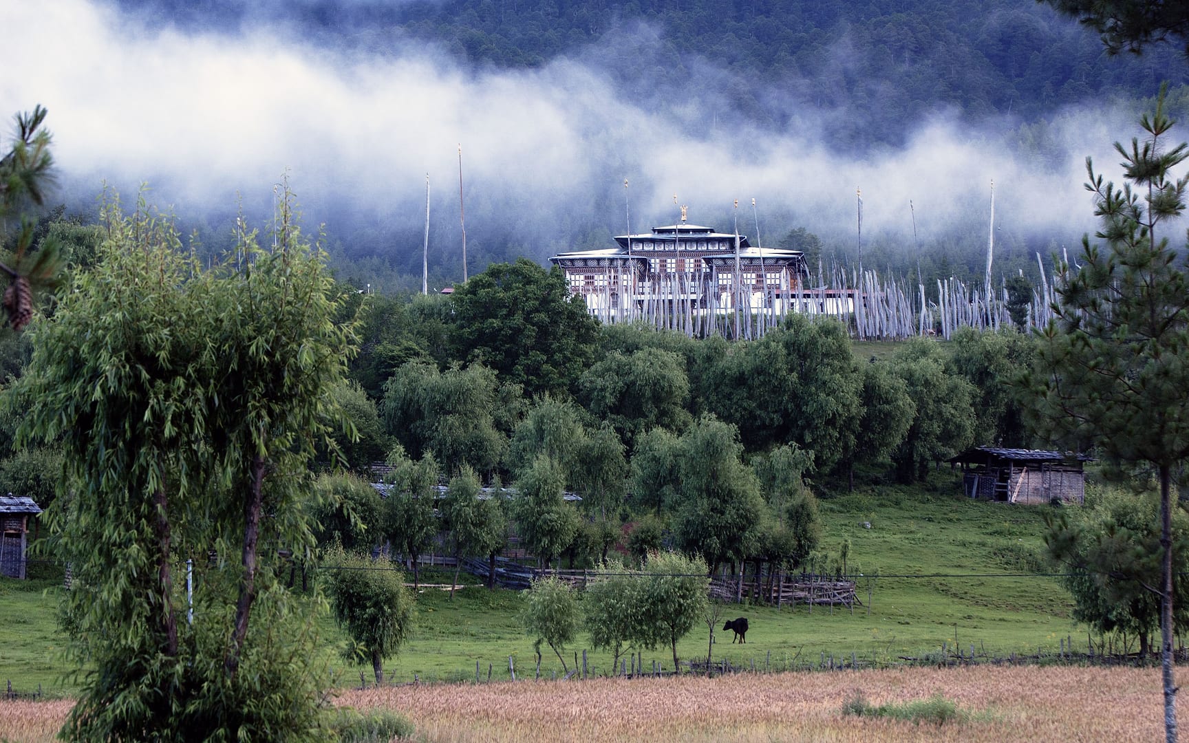 Bhutan — Bumthang — landscape