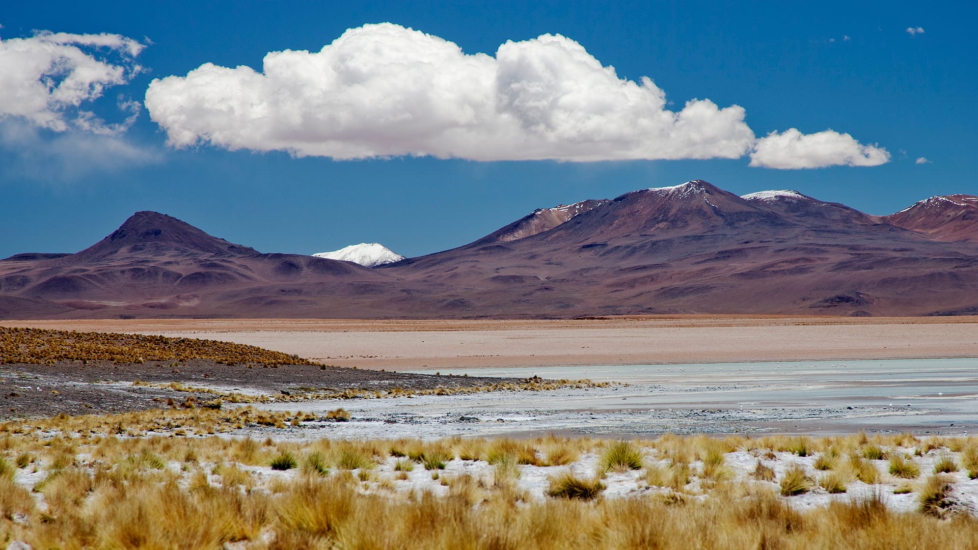 Bolivia — Altiplano — landscape