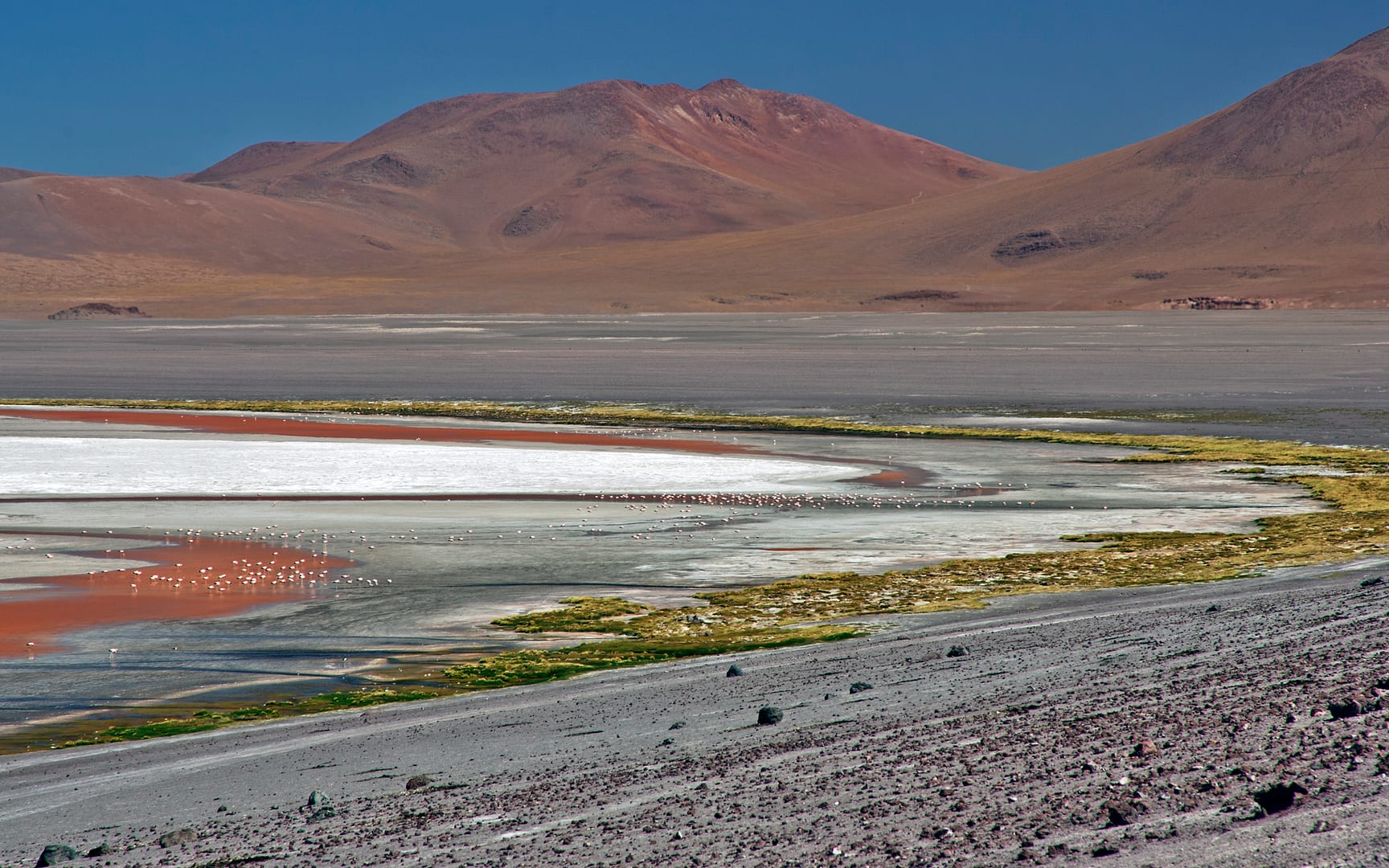 Bolivia — Altiplano — landscape
