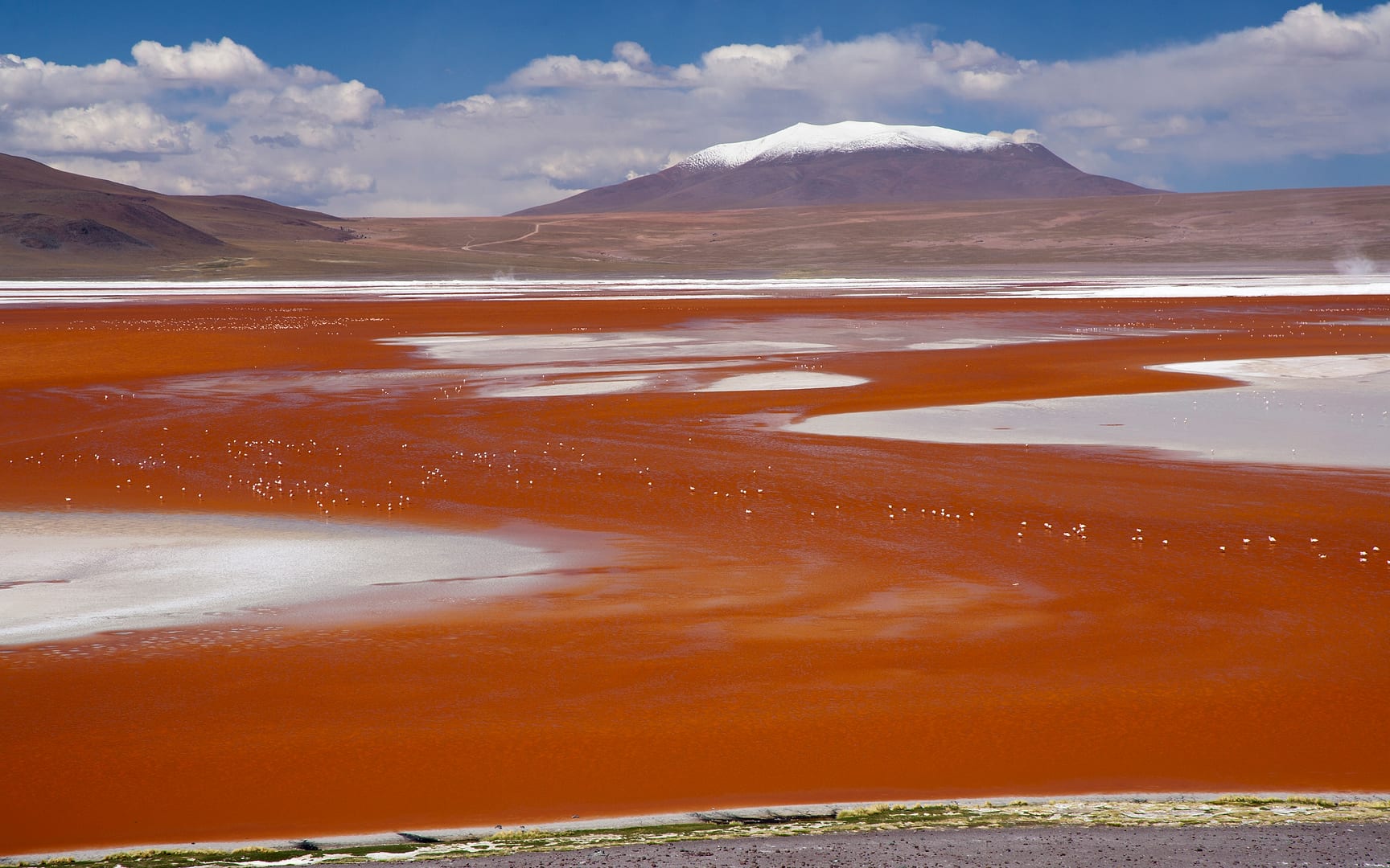 Bolivia — Altiplano — landscape