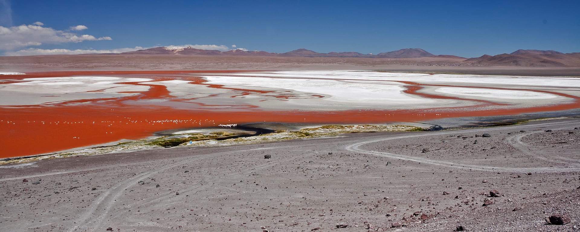 Bolivia — Eduardo Avaroa Reserve — landscape