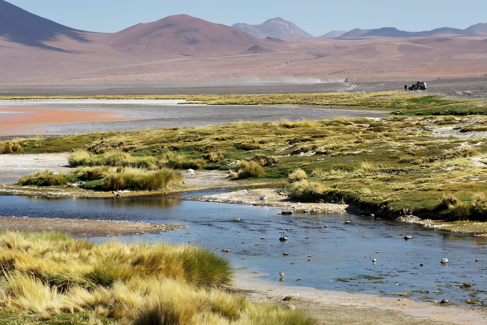 Bolivia — Altiplano — landscape