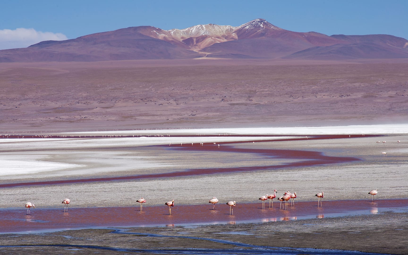 Bolivia — Altiplano — landscape