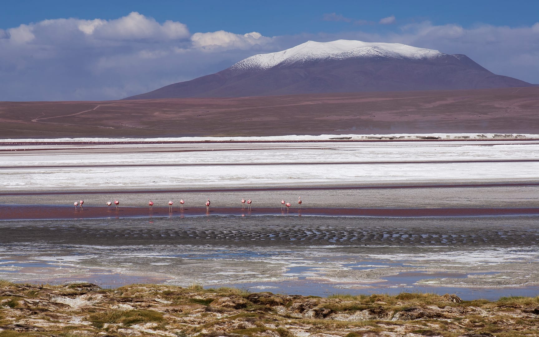Bolivia — Altiplano — landscape