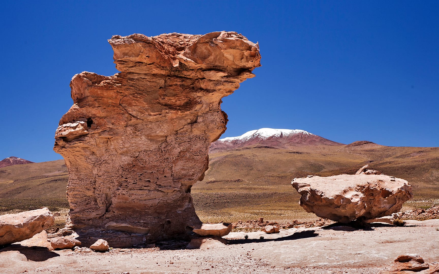 Bolivia — Altiplano — landscape