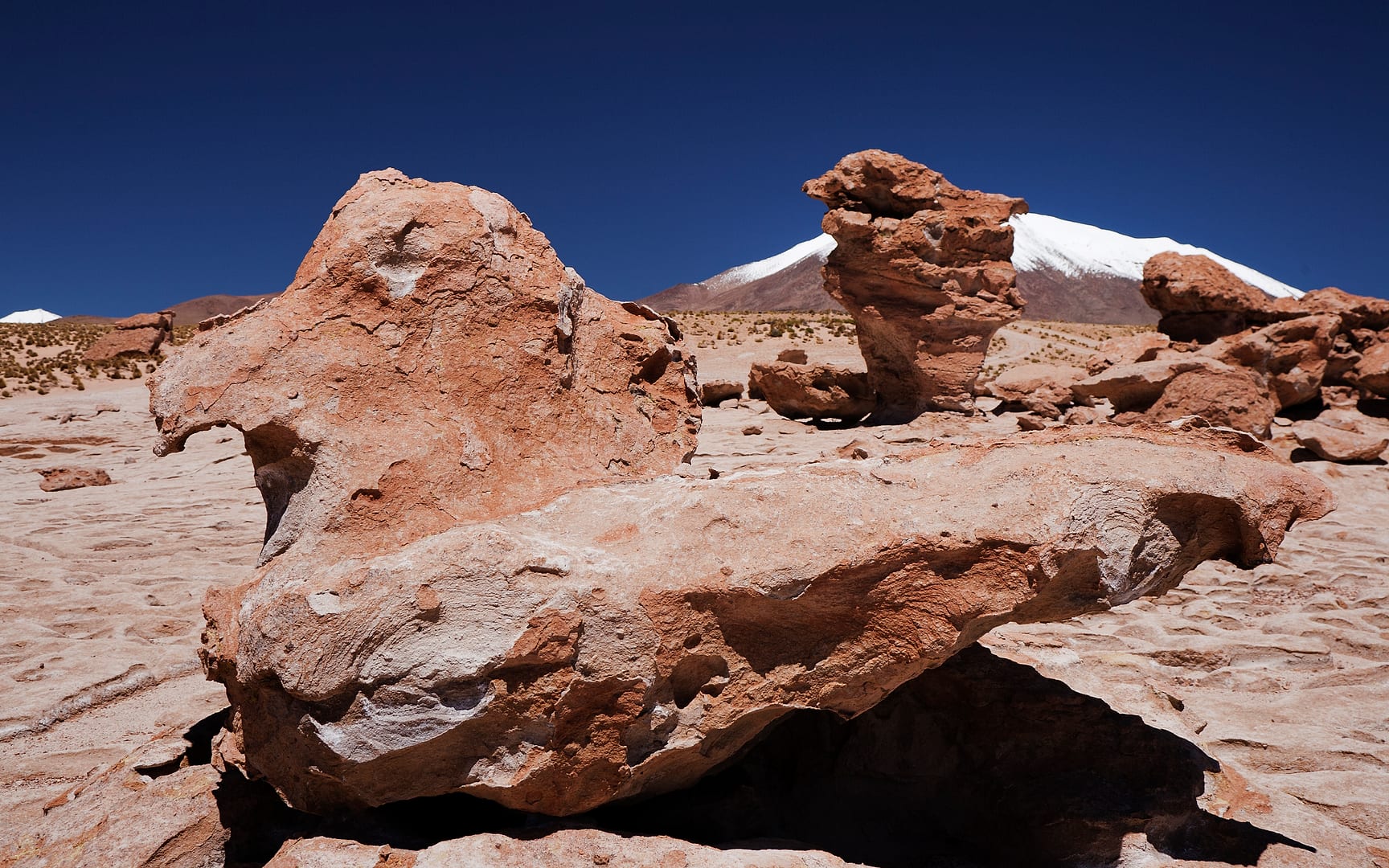 Bolivia — Altiplano — landscape