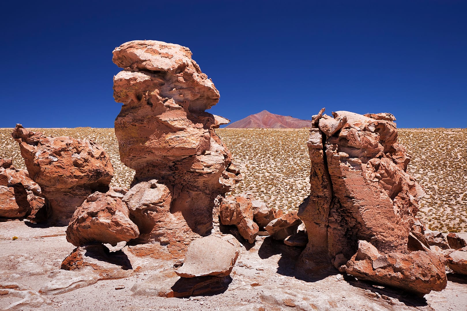 Bolivia — Altiplano — landscape