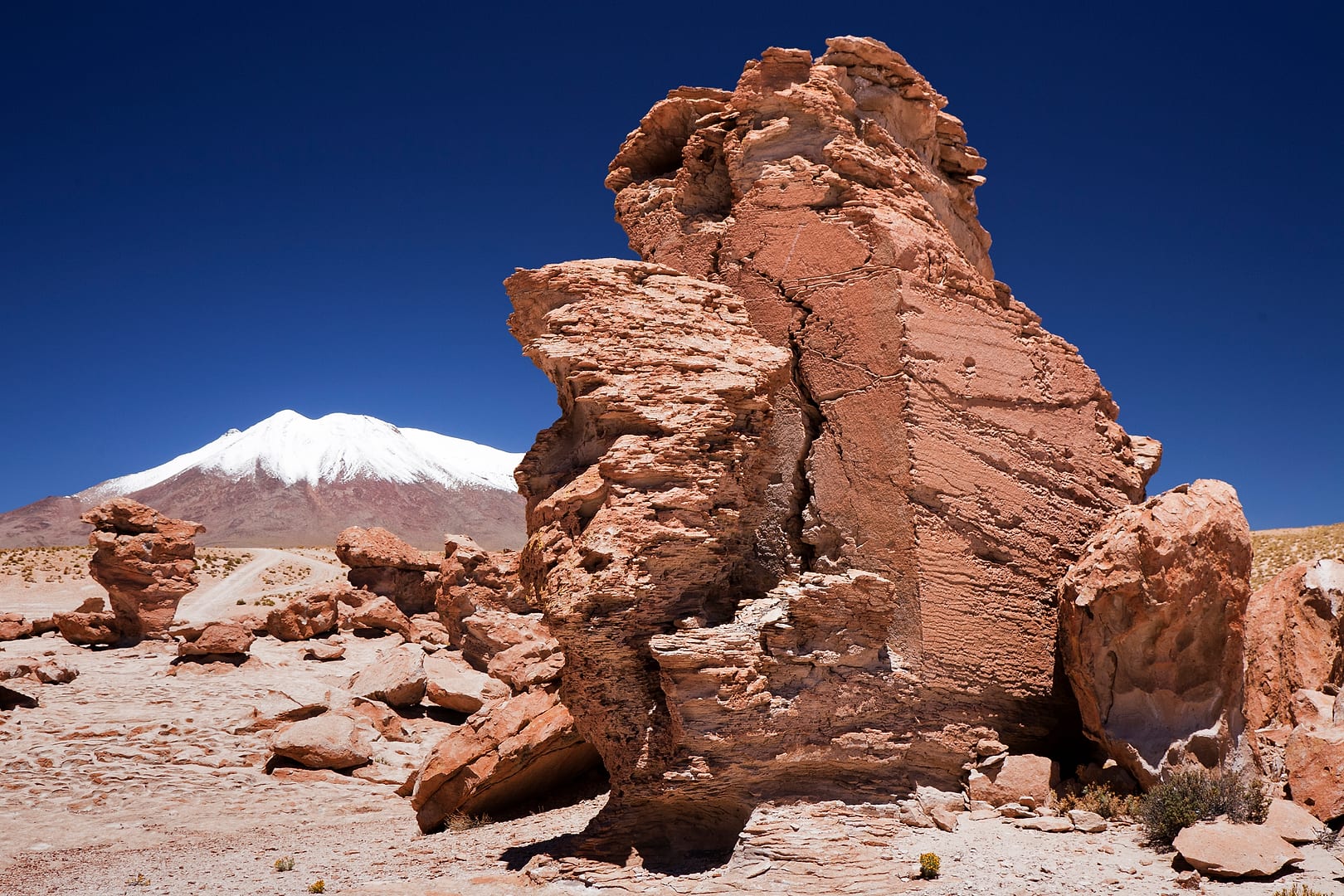 Bolivia — Altiplano — landscape